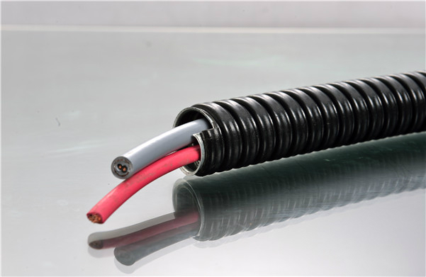 2015121219447461 2015121219447461